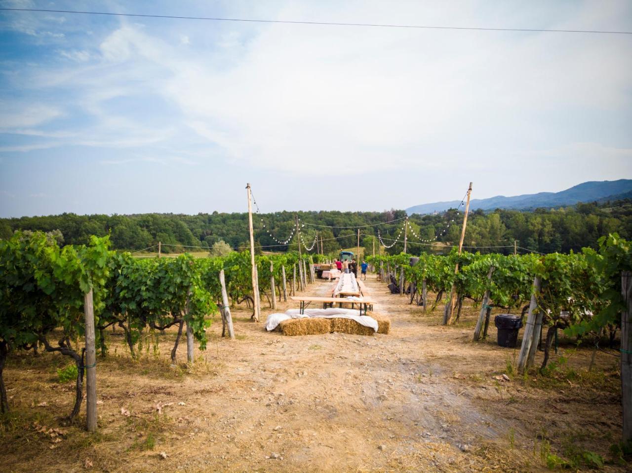 Palagina La Cascina Βίλα Figline Valdarno Εξωτερικό φωτογραφία