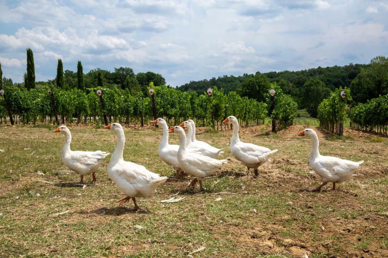Palagina La Cascina Βίλα Figline Valdarno Εξωτερικό φωτογραφία