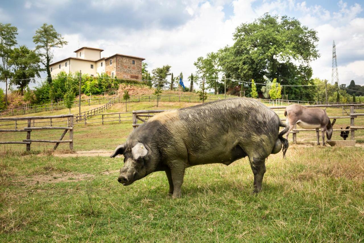 Palagina La Cascina Βίλα Figline Valdarno Εξωτερικό φωτογραφία