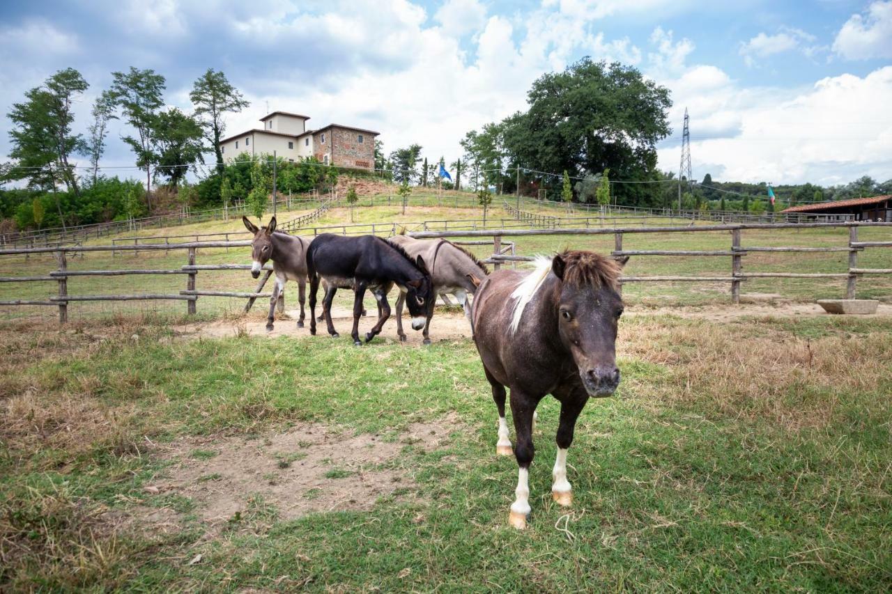 Palagina La Cascina Βίλα Figline Valdarno Εξωτερικό φωτογραφία